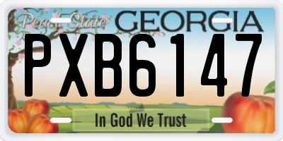 GA license plate PXB6147