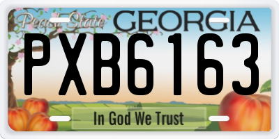 GA license plate PXB6163