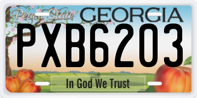 GA license plate PXB6203