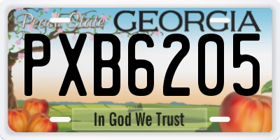 GA license plate PXB6205