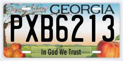 GA license plate PXB6213