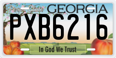 GA license plate PXB6216