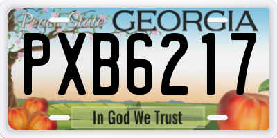 GA license plate PXB6217