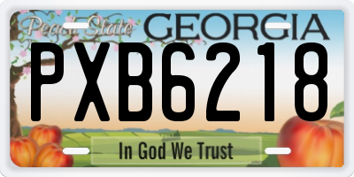 GA license plate PXB6218