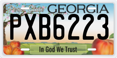 GA license plate PXB6223