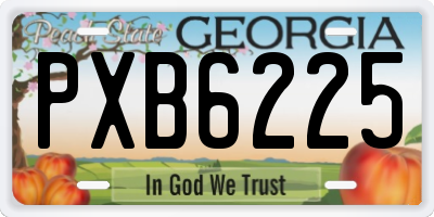 GA license plate PXB6225