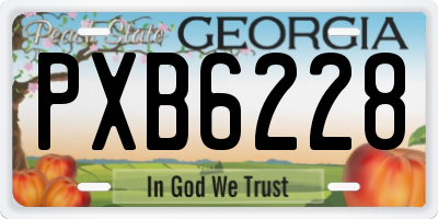 GA license plate PXB6228