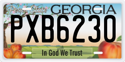 GA license plate PXB6230