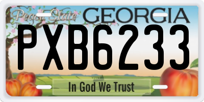 GA license plate PXB6233