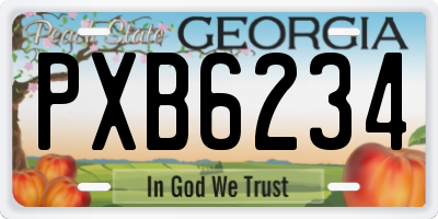 GA license plate PXB6234