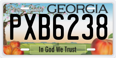 GA license plate PXB6238