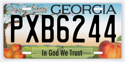GA license plate PXB6244