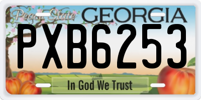 GA license plate PXB6253