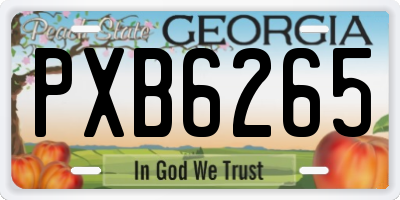 GA license plate PXB6265