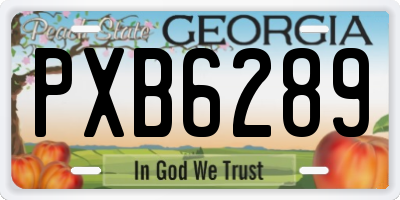 GA license plate PXB6289
