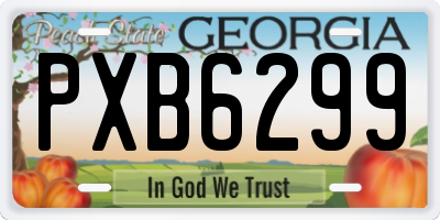 GA license plate PXB6299