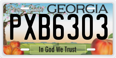 GA license plate PXB6303