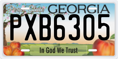 GA license plate PXB6305
