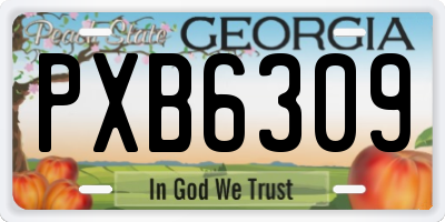 GA license plate PXB6309