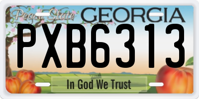 GA license plate PXB6313