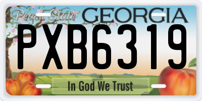 GA license plate PXB6319