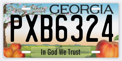 GA license plate PXB6324