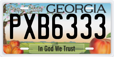GA license plate PXB6333