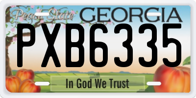GA license plate PXB6335