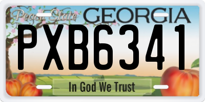 GA license plate PXB6341