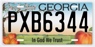 GA license plate PXB6344