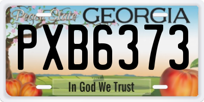 GA license plate PXB6373
