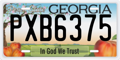 GA license plate PXB6375