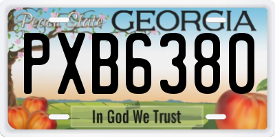 GA license plate PXB6380