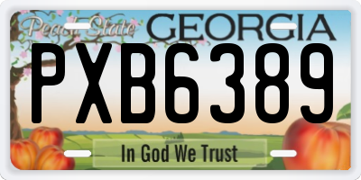 GA license plate PXB6389