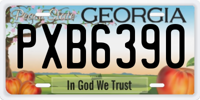 GA license plate PXB6390