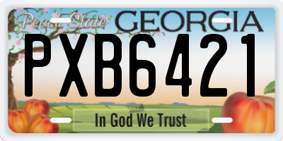 GA license plate PXB6421