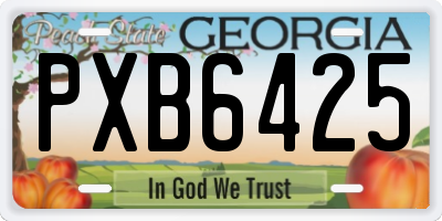 GA license plate PXB6425