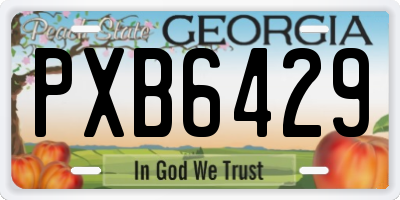 GA license plate PXB6429