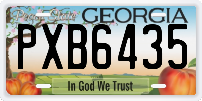 GA license plate PXB6435