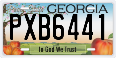GA license plate PXB6441