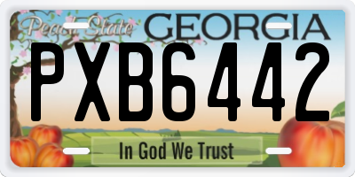 GA license plate PXB6442