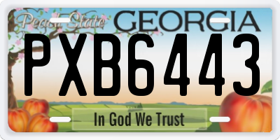 GA license plate PXB6443