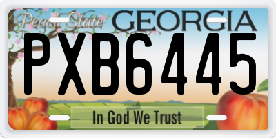 GA license plate PXB6445