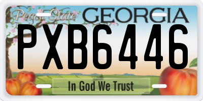 GA license plate PXB6446