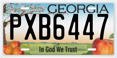 GA license plate PXB6447