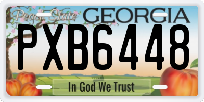 GA license plate PXB6448