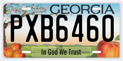 GA license plate PXB6460