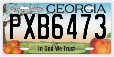 GA license plate PXB6473