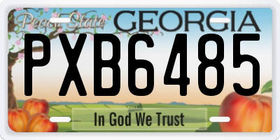 GA license plate PXB6485