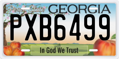 GA license plate PXB6499